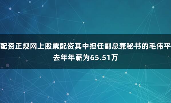 配资正规网上股票配资其中担任副总兼秘书的毛伟平去年年薪为65.51万