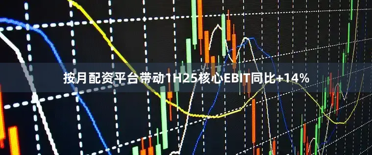 按月配资平台带动1H25核心EBIT同比+14%
