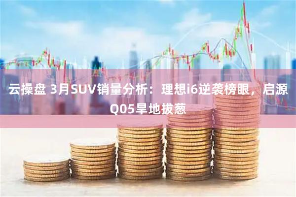 云操盘 3月SUV销量分析：理想i6逆袭榜眼，启源Q05旱地拔葱
