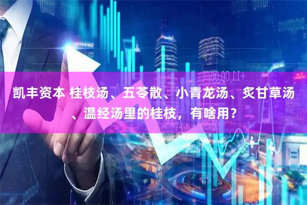 凯丰资本 桂枝汤、五苓散、小青龙汤、炙甘草汤、温经汤里的桂枝，有啥用？