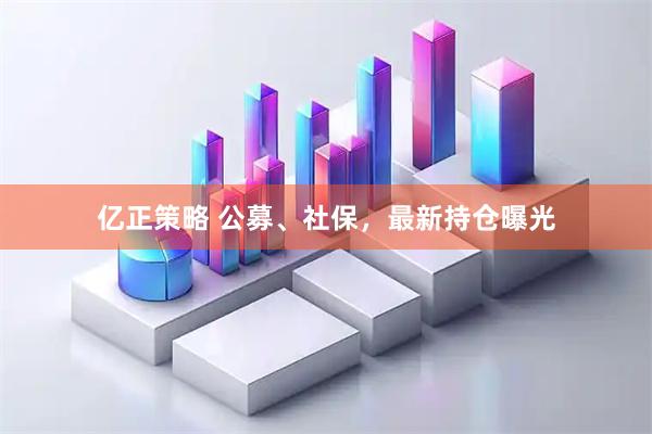 亿正策略 公募、社保，最新持仓曝光