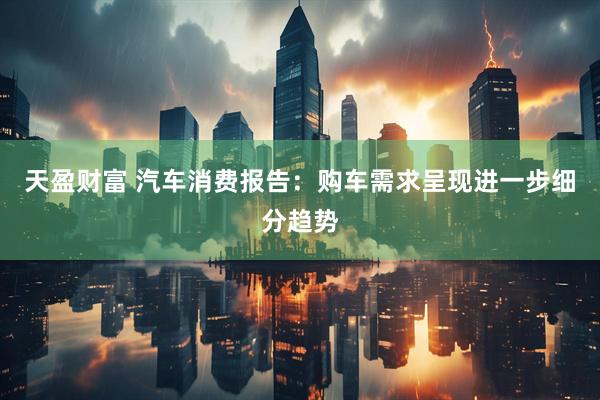 天盈财富 汽车消费报告：购车需求呈现进一步细分趋势